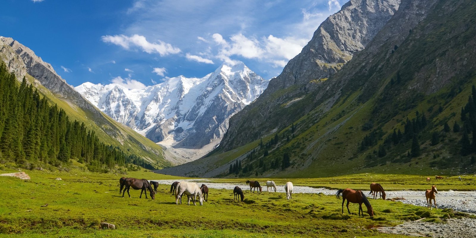 قيرغيزستان 🇰🇬 أوزباكستان 🇺🇿 مغامرة | Kyrgyzstan & Uzbekistan Trip